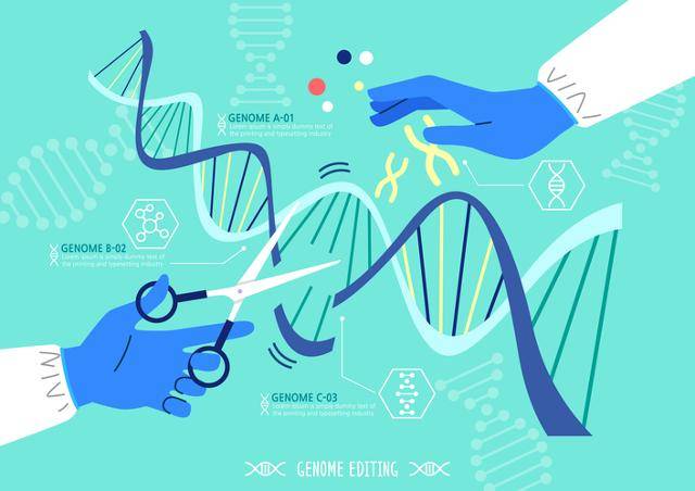 게티이미지뱅크