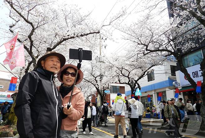 '제18회 전농로 왕벚꽃 축제' 마지막 날인 30일 오후 제주시 삼도1동 전농로 일대가 상춘객들로 북적이고 있다. 2025.3.30/뉴스1 ⓒ News1 오미란 기자