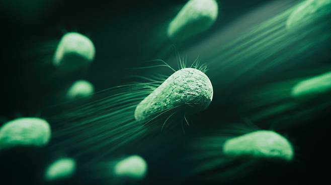 게티이미지뱅크.