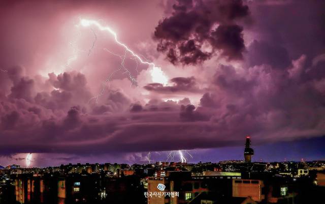 <61회 한국보도사진상 - 우수상> 저기압대가 통과하며 대기가 불안정한 8월16일 자정 무렵 제주시 오라2동에서 바라본 동쪽 하늘에 밤을 훤히 밝히는 요란한 낙뢰가 떨어지고 있다. 기상청에 따르면 8월15일 낮부터 16일 새벽까지 제주 지역에는 천둥·번개를 동반한 낙뢰가 492차례 내리치면서 도민과 관광객들이 두려움에 떨어야 했다. 대낮부터 시작된 낙뢰로 제주공항을 오가는 항공편 가운데 1편이 결항하고 71편이 지연 운항했다. 기상청이 보유한 자동기상관측장비(AWS) 장비 3대도 낙뢰에 맞아 파손됐다. 특히 밤새 제주 도심과 한라산 윗쪽 상공이 검붉은 섬광으로 물드는 요란한 낙뢰가 이어진 탓에 사회관계망서비스(SNS)에는 "하늘이 무너지는 것 같다", "전쟁이 난 줄 알았다" 등의 반응이 잇따랐다. 사진 제공=한국사진기자협회(KPPA)