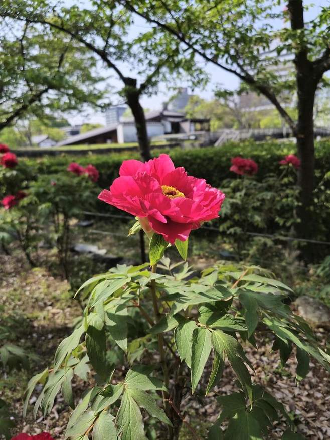 7fed8273b58669fe51ee82e045847d73b78ee1b65060b4595a77c67389d220ae