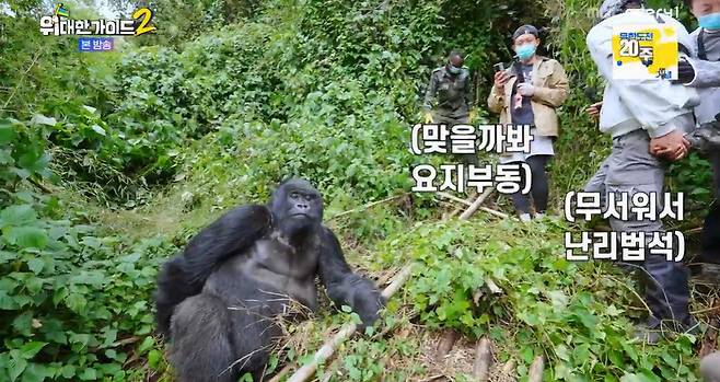 MBC에브리원 ‘위대한 가이드2’ 캡처