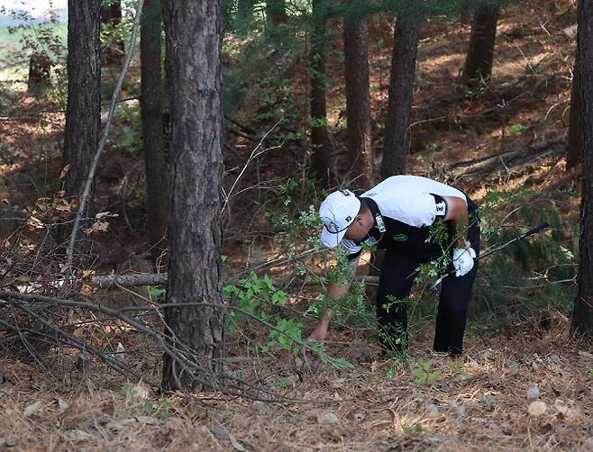 3번홀에서 러프 나뭇가지를 치우는 임성재.(사진=KPGA 제공)
