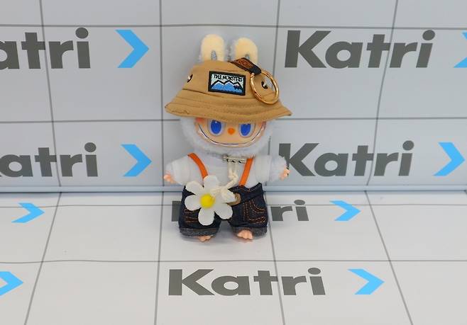 테무에서 판매 중인 ‘인형 키링’. 얼굴 등 부위에서 국내 기준치를 크게 초과하는 유해물질이 다량 발견됐다. 서울시 제공