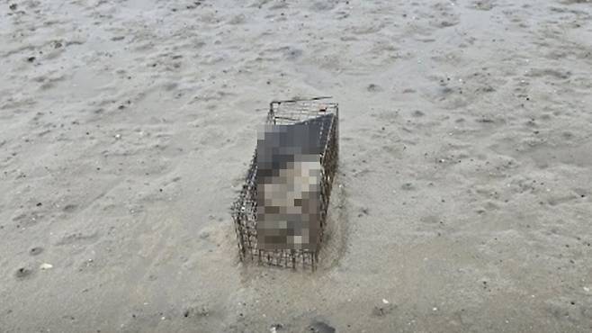 동물권행동 카라 SNS