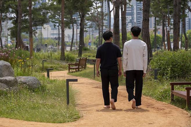 세종시 ‘중앙공원 솔숲맨발길’에서 시민들이 맨발로 산책을 즐기고 있다. 세종시 제공