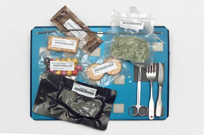 우주 비행사들이 섭취하는 음식. 퍼블릭 도메인 제공