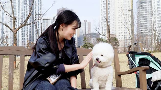 지난 3월 23일 경기도 화성시 여울공원에서 비숑 '마리'와 보호자 김지영씨를 만났다. 최민석 기자