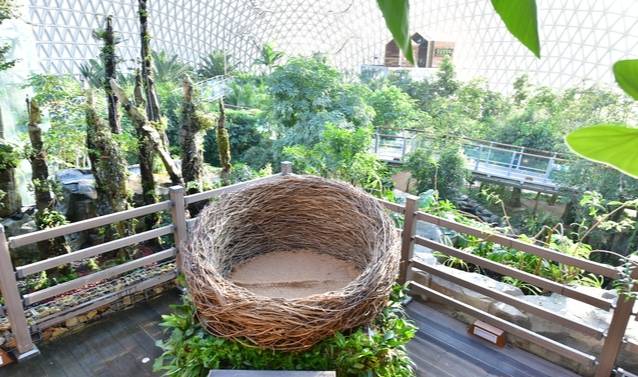 식물원 전경을 조망할 수 있고 독특한 외형으로 화제가 된 ‘새둥지 포토존’. 거제식물원