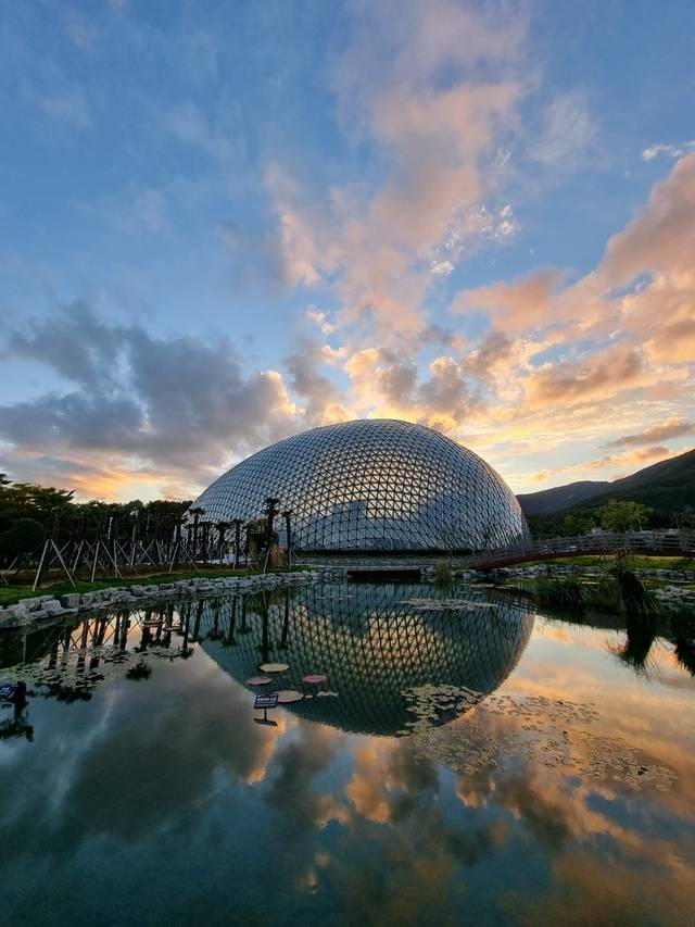 7500여장의 삼각형 유리로 이뤄진 독특한 외형을 가진 ‘거제 정글돔’. 거제시