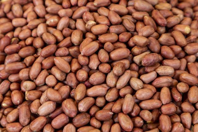 사진은 기사 내용과 무관함. 이미지투데이