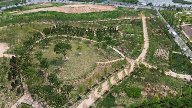 호암근린공원내 미개발 구역을 활용해 조성된 충주시민의 숲. 사진제공=충주시