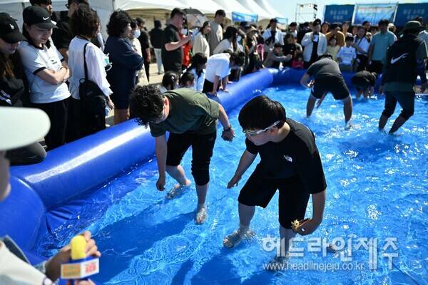 제14회 우도 소라축제.