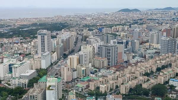 고층 건축물이 즐비한 제주시 연동 상업지역 전경.