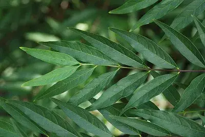 3da9da27e7d13ceb3cef84e0468576653d2a370b09f89af5e2a1d54785229ef68b34c137329802f386ca56