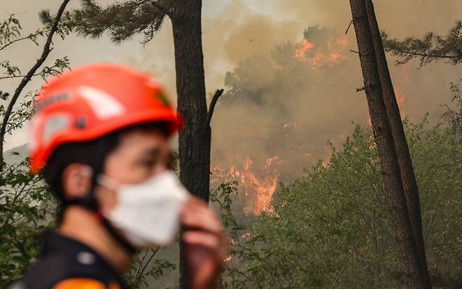 28일 오후 2시 1분께 대구 북구 노곡동 함지산에서 산불이 발생한 가운데 인근 민가로 번지고 있다. 연합뉴스