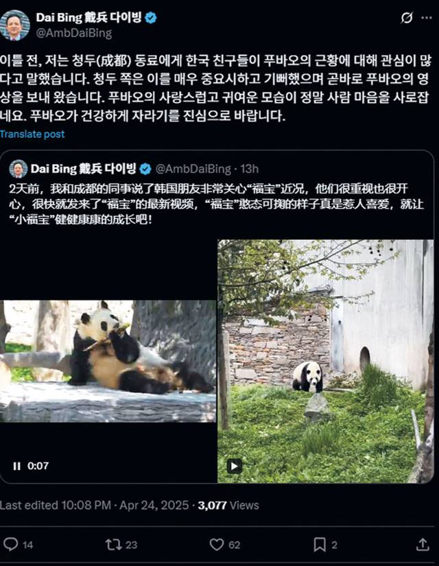 다이빙 주한 중국대사가 지난 24일 자신의 X에 판다 푸바오의 근황을 알리는 게시글을 올렸다. X 캡처