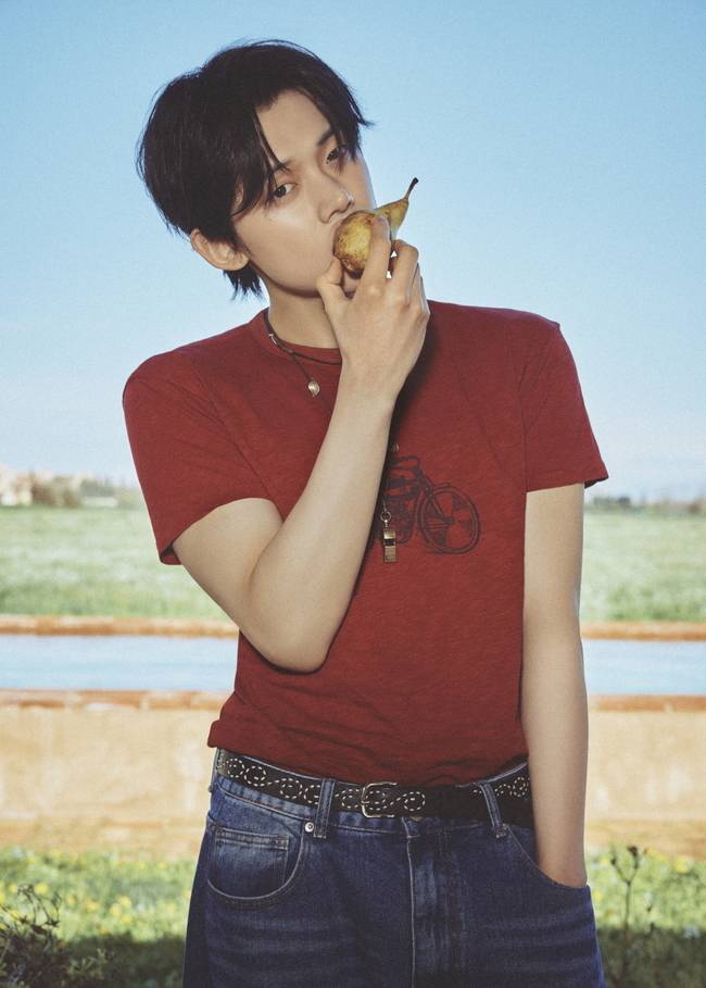 빅히트 뮤직 제공