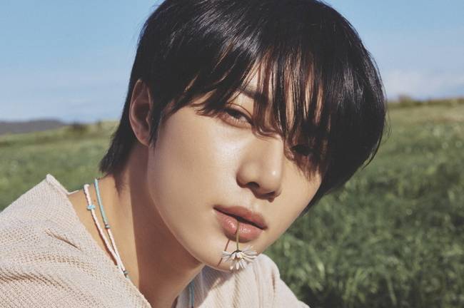 빅히트 뮤직 제공