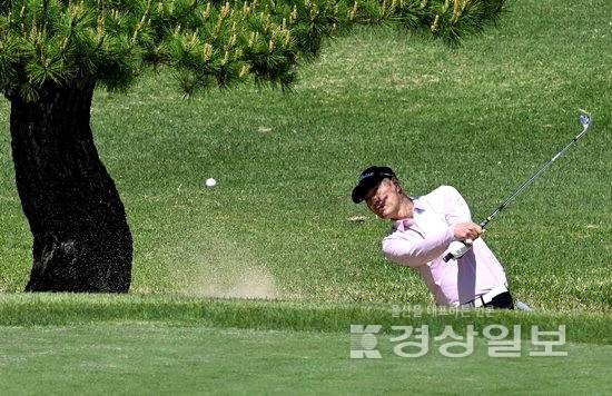 ▲ 울산아마골프대회에 출전한 한 참가자가 울산CC 남코스 9번홀에서 벙커샷을 하고 있다.