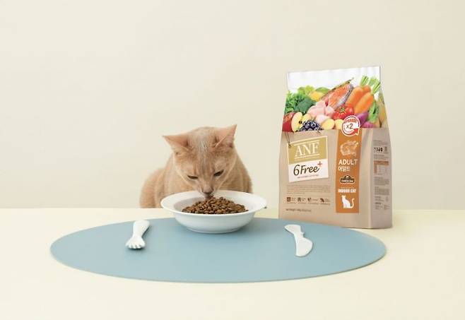 우리와의 고양이 영양 관리 솔루션 제품.