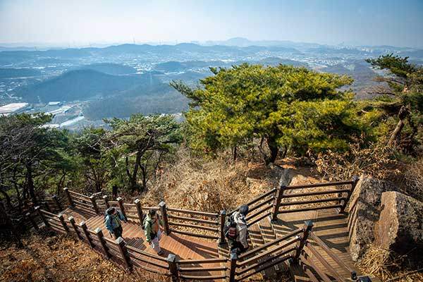 가학산 정상으로 올라오는 나무계단이다. 뒤로 광명시 전경이 펼쳐진다.