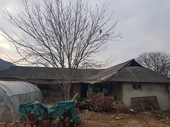 농촌에 방치된 빈집의 모습. /뉴스1