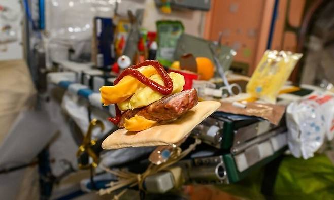 나사 우주비행사 조니 김이 국제우주정거장에서 만든 고추장 버거. 조니 김 페이스북