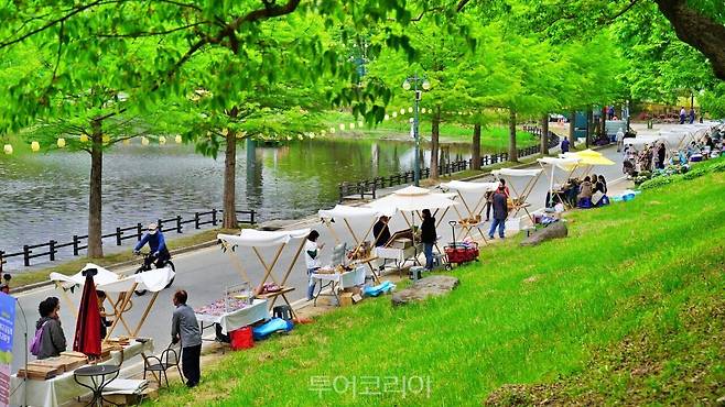 담양대나무축제 / 사진-담양군