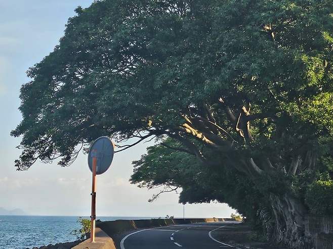 28b9d932da836ff23be68fe3408174655b0f656ceb63fb773403ada5effee49208e3ff