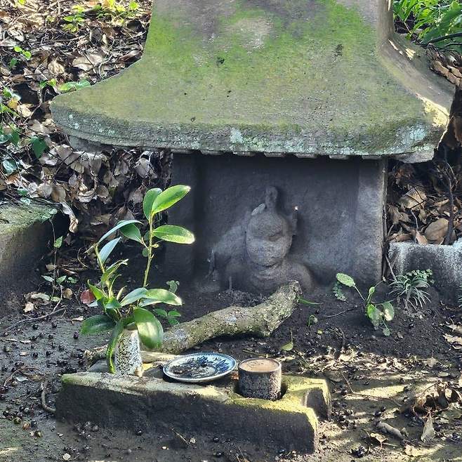 28b9d932da836ff23be68fe341887c6a30734203f56df776d081516aa0af556295270e