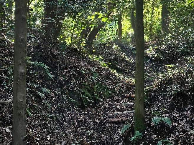 28b9d932da836ff238ee86ec43887d6c2a24b2505c6d8b245436929958237681446d3b