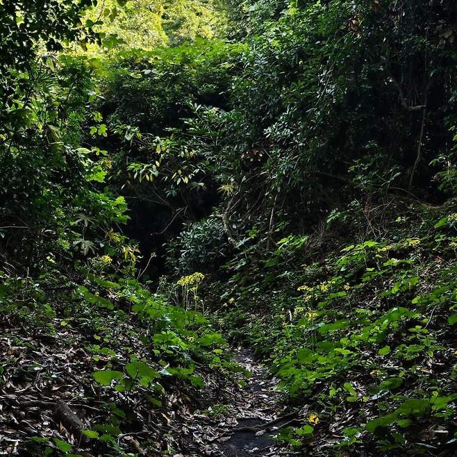 28b9d932da836ff238ee86ec4e80746e0dee29a9ed7b8dc63a5863ce8d4e43b2c3131a