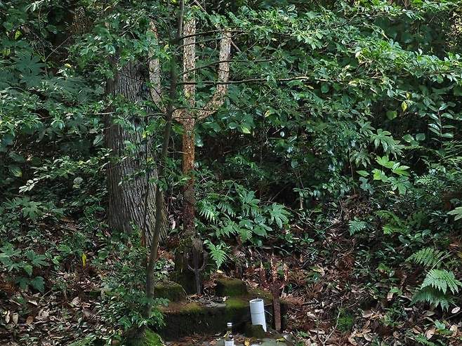 28b9d932da836ff238ee87e544847168109a800c5dcf5b58aadeb427af3c2c6268bfc0