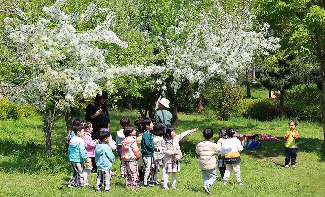 야외학습 나온 어린이들. <연합뉴스>