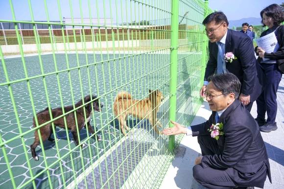 지난달 24일 광주시 북구 본촌동 ‘광주시 동물보호센터‘ 개소식에 참석한 강기정 광주시장이 유기견을 살펴보고 있다. 광주광역시 제공