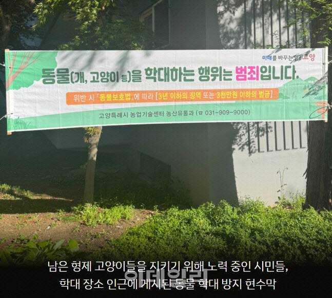 동물자유연대는 지난달 22일, 고양시 일산서구 소재 아파트 단지 내 화단 길고양이 급식소에서 평소 밥을 챙겨주고 사람을 잘 따르던 고양이 한 마리가 끔찍하게 사망한 채 발견되었다는 제보를 받아 관할 경찰서에 고발장을 접수했다. 해당 사건이 발생한 자리에 현수막이 걸려있는 모습.(사진=동물자유연대)