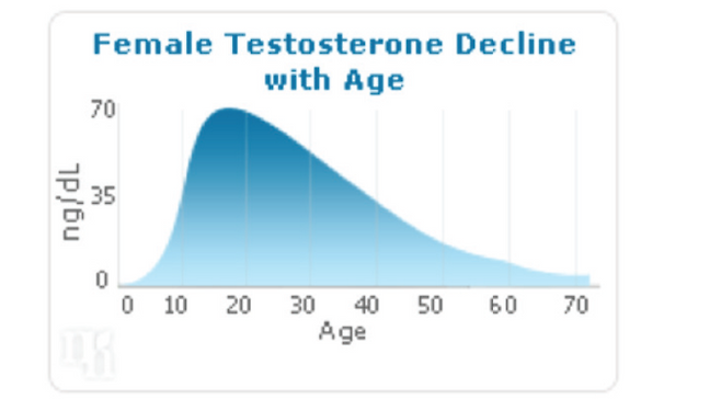 테스토스테론은 여성과는 상관없을까? [안철우 교수의