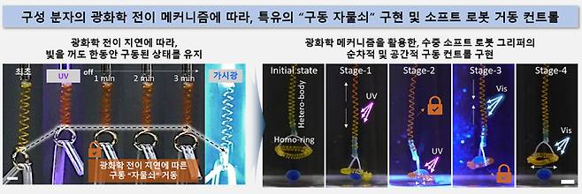 구동 자물쇠 구현 및 빛에 의한 소프트로봇의 순차적 공간적 구동 컨트롤. 한국화학연구원