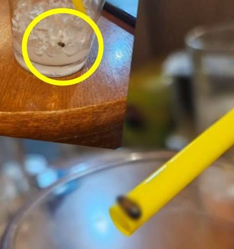 (인스타그램 갈무리) /뉴스1