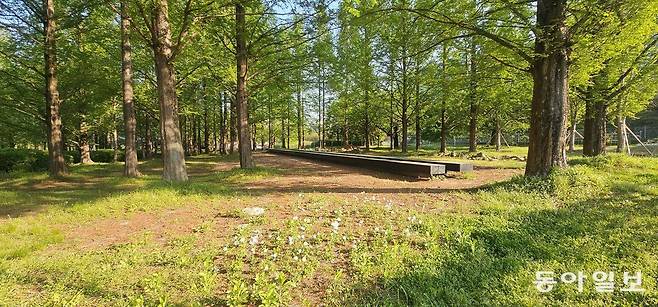 ‘우리는 선처럼 가만히 누워’. 고양=김선미 기자 kimsunmi@donga.com