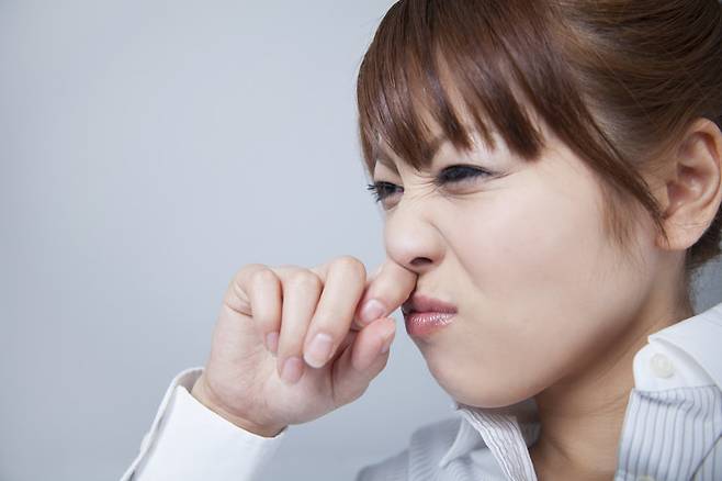 게티이미지뱅크.