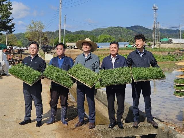 ▲ 홍천군은 지난 2일 북방면 하화계리 최영환 농가에서 신영재 군수, 김준태 농협 군지부장, 심영주 홍천농협 조합장 등이 참석한 가운데 올해 첫 모내기를 실시했다.