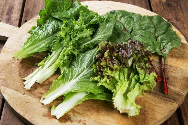 사진=게티이미지뱅크