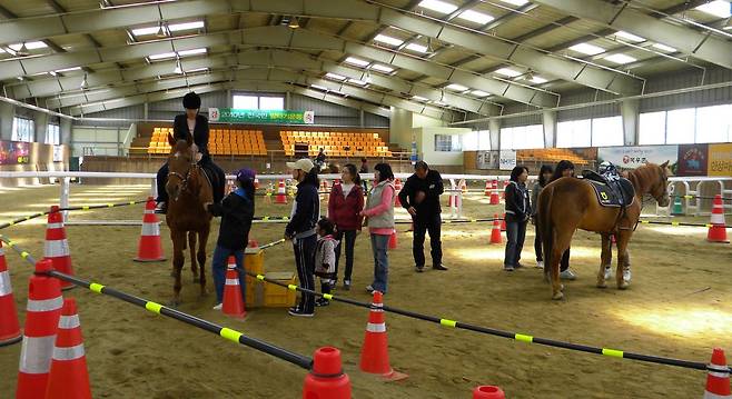 안성팜랜드 내 실내마장에서 회원들이 교육을 받고있다. 사진=안성팜랜드 제공