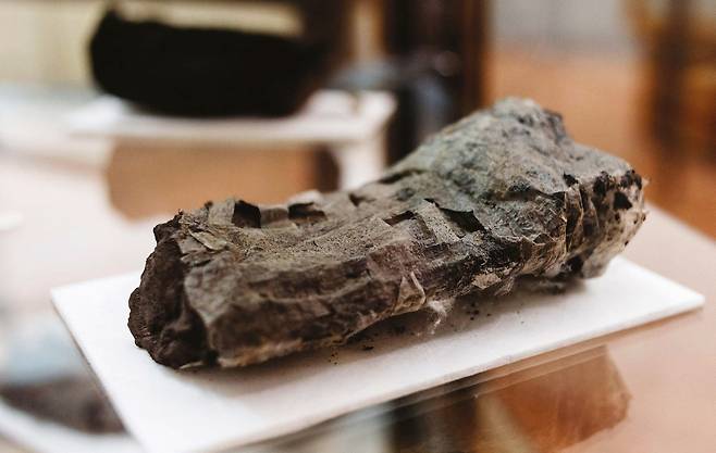 18세기 헤르쿨라네움에서 발굴된 고대 파피루스 두루마리. 베수비오 화산 폭발로 숯이 된 상태였다./Vesuvius Challenge