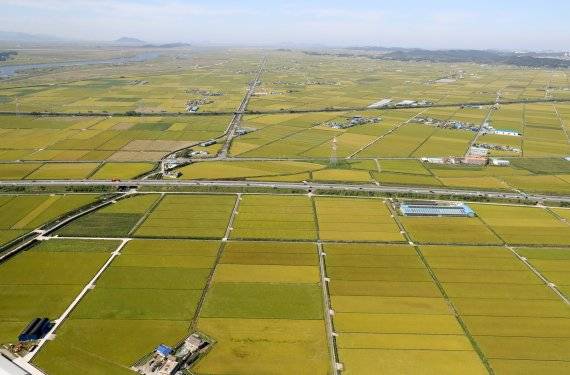 전북 김제 호남평야 자료사진.
