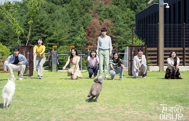 ‘천국보다 아름다운’에서 나온 천국 속 반려동물들. 사진| JTBC