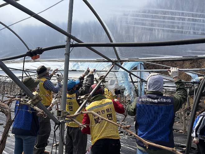 한울본부 직원들이 영덕산불 피해복구를 위한 봉사활동을 펼치고 있다.