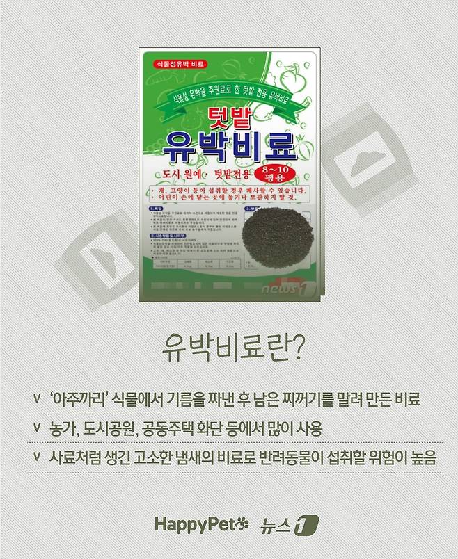 ⓒ News1 윤주희 디자이너